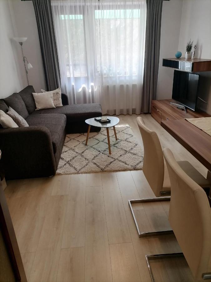Apartament Joy Apartman Sovata Zewnętrze zdjęcie